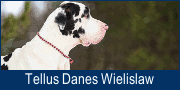 Tellus Danes Wielislaw