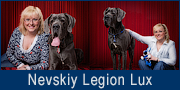 Nevskiy Legion Lux